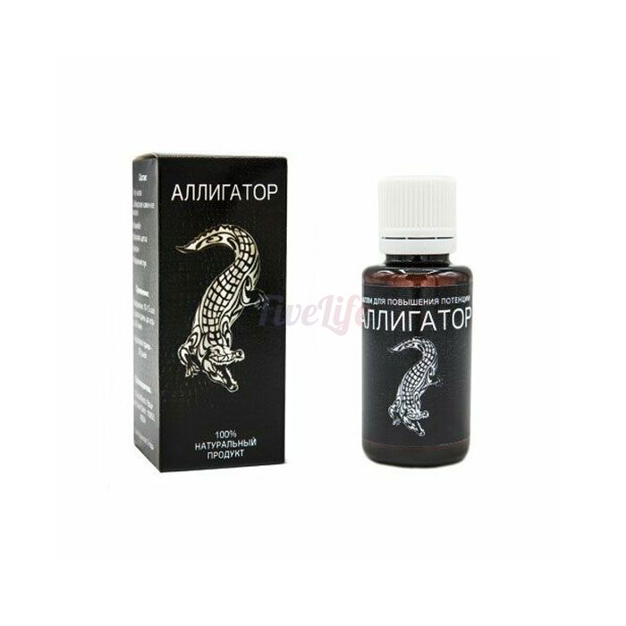 〘 Alligator 〙 〘 capsules for potency 〙