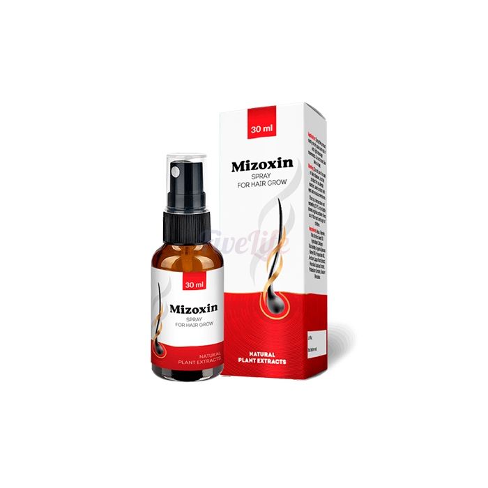 〘 Mizoxin 〙 〘 produit de restauration capillaire 〙