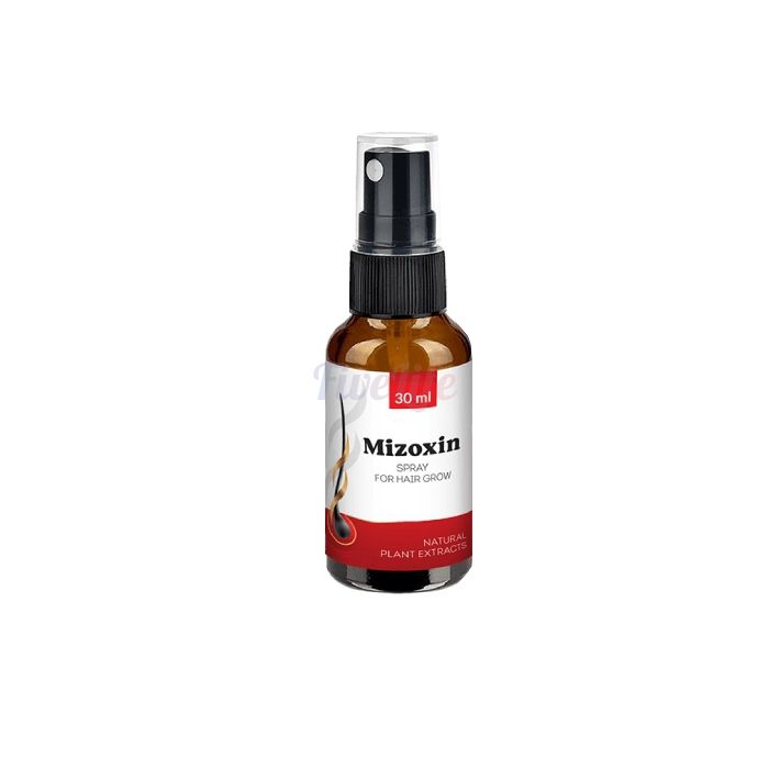 〘 Mizoxin 〙 〘 produit de restauration capillaire 〙