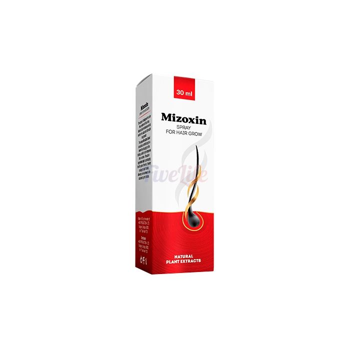 〘 Mizoxin 〙 〘 Produkt zur Haarwiederherstellung 〙