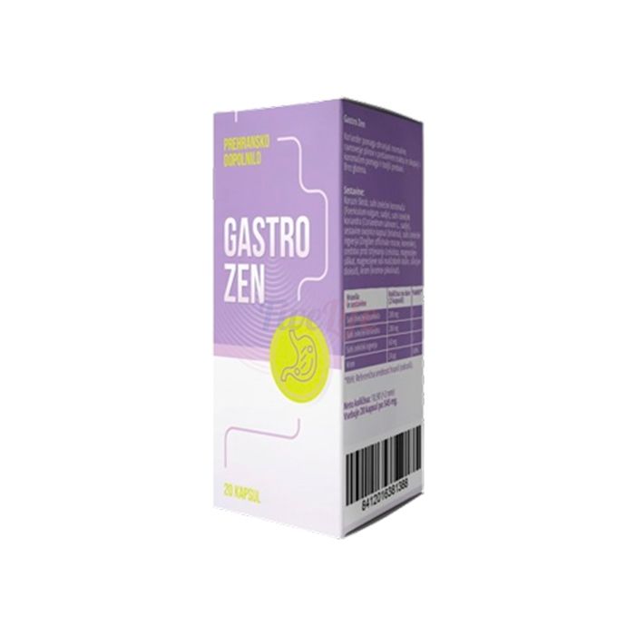 〘 Gastro ZEN 〙 〘 remedy for the health of the stomach and digestive system 〙