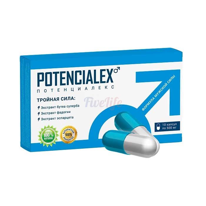 〘 POTENCIALEX 〙 〘 droga para potência 〙