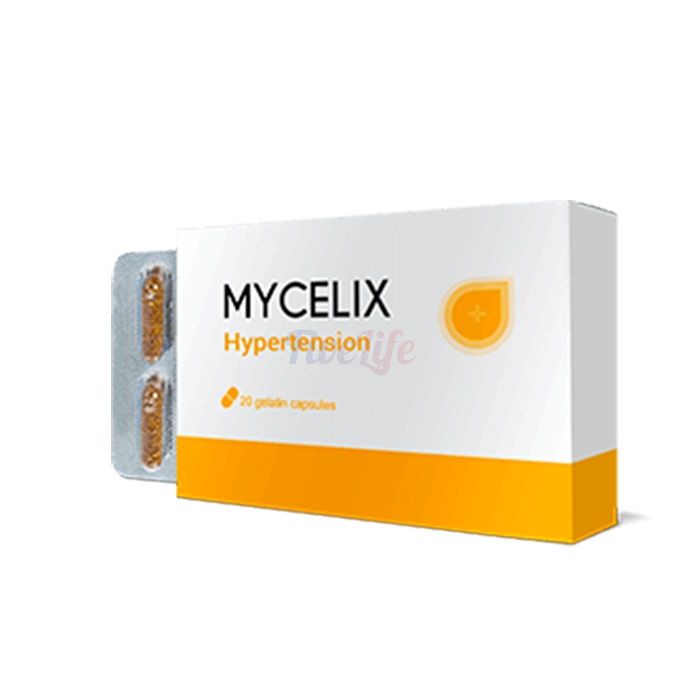 〘 Mycelix 〙 〘 remedy for hypertension 〙